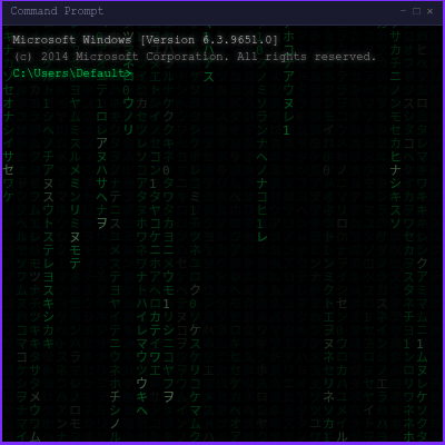 Terminal